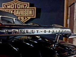 
										Harley Davidson Tri Glide Ultra Custom full									