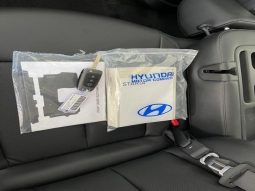 
										Hyundai Staria 2.2D Executive 9 Seater At full									