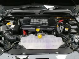 
										Mahindra Pik Up S11 Karoo Storm Edition D Cab At 4X full									