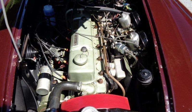 
								Austin 3000 2.9 full									