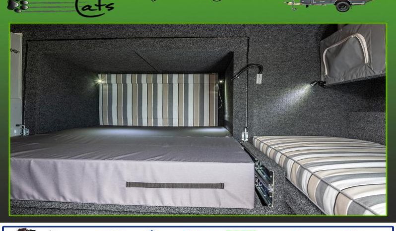 
								Caravan Tuff Cats Dindingwe full									