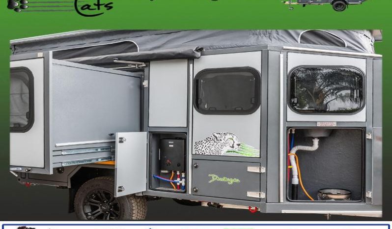 
								Caravan Tuff Cats Dindingwe full									