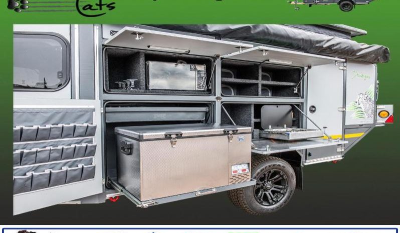 
								Caravan Tuff Cats Dindingwe full									