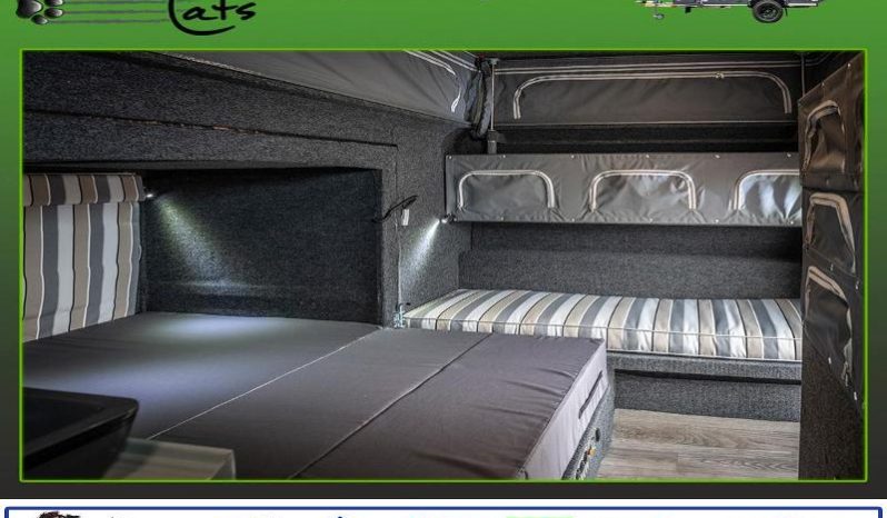 
								Caravan Tuff Cats Dindingwe full									