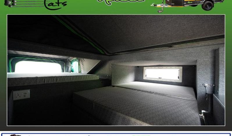 
								Caravan Tuff Cats Mbada full									