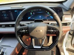 
										Chery Tiggo 8 Pro 2.0 Tgdi Max Executive Awd Dct full									