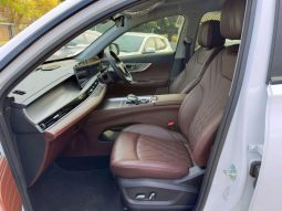 
										Chery Tiggo 8 Pro 2.0 Tgdi Max Executive Awd Dct full									