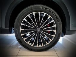 
										OMODA Omoda C9 2.0 Tgdi Explore Awd full									