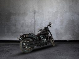 
										Harley Davidson Low rider S 117 full									