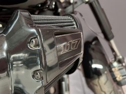 
										Harley Davidson Low rider S 117 full									