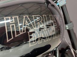 
										Harley Davidson Low rider S 117 full									
