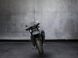 
										Harley Davidson Pan America Pan America 1250 Special full									