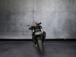 
										Harley Davidson Pan America Pan America 1250 Special full									