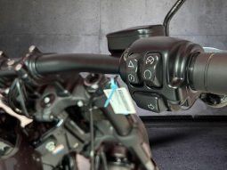 
										Harley Davidson Softail Fat Bob 114 full									