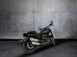 
										Harley Davidson Softail Fat Bob 114 full									