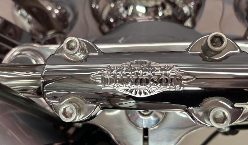 
								Harley Davidson Softail Heritage Classic 114 full									