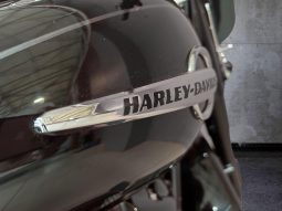 
										Harley Davidson Softail Heritage Classic 114 full									