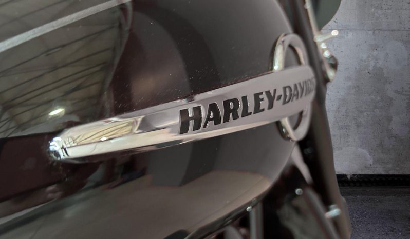 
								Harley Davidson Softail Heritage Classic 114 full									