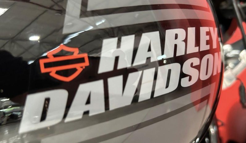 
								Harley Davidson Softail Sport Glide full									