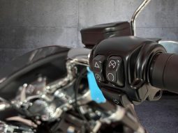 
										Harley Davidson Softail Sport Glide full									
