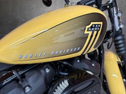 
										Harley Davidson Softail Street Bob 114 full									