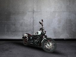 
										Harley Davidson Softail Street Bob 114 full									