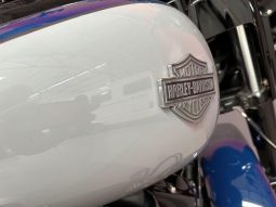 
										Harley Davidson Street Glide Anv 114 full									