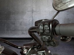 
										Harley Davidson Touring Road King Special 114 full									