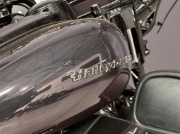 
										Harley Davidson Ultra Limited 114 Anniversary full									
