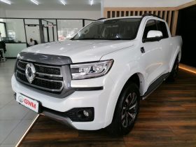 Gwm P-Series P300 D/CAB 2.4TD LT 4X2 AUTO