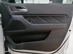 
										Gwm P-Series P300 D/CAB 2.4TD LT 4X2 AUTO full									