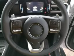 
										Gwm P-Series P300 D/CAB 2.4TD LT 4X2 AUTO full									