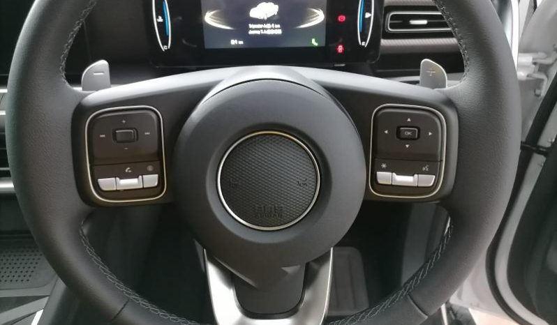 
								Gwm P-Series P300 D/CAB 2.4TD LT 4X2 AUTO full									