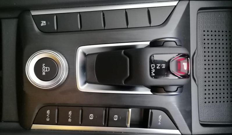 
								Gwm P-Series P300 D/CAB 2.4TD LT 4X2 AUTO full									
