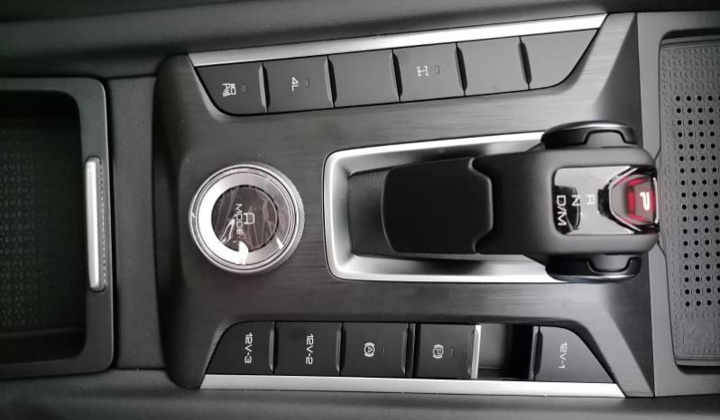 
								Gwm P-Series P300 D/CAB 2.4TD LT 4X4 AUTO full									