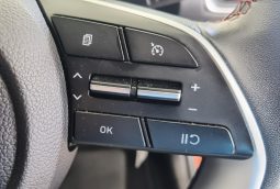 
										Hyundai Creta 1.4 Tgdi Executive Dct 2 Tone full									