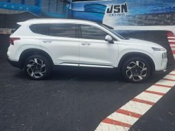 
										Hyundai Santa Fe 2.2 Elite 7 Seater Dct Awd full									