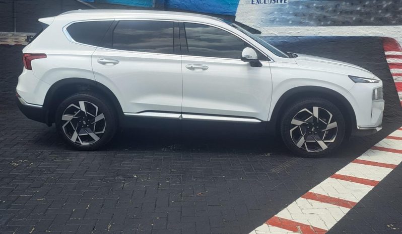 
								Hyundai Santa Fe 2.2 Elite 7 Seater Dct Awd full									