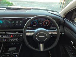 
										Hyundai Tucson 2.0 Premium At full									