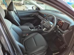 
										Hyundai Tucson 2.0 Premium At full									