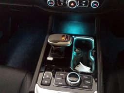 
										BAIC B40 Plus 2.0T Champion full									