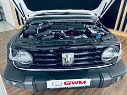 
										Gwm Tank 300 2.4T Ultra Luxury 4wd At full									