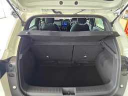 
										Nissan Magnite 1.0T Acenta Cvt full									