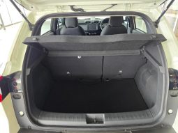 
										Nissan Magnite 1.0 Visia full									