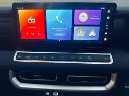 
										Gwm P300 2.4T Ls D Cab 2wd full									