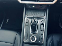 
										Gwm P300 2.4T Ls D Cab 2wd full									