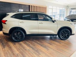 
										Haval H6 2.0T Super Luxury 2wd 9dct full									