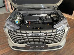 
										Haval H6 2.0T Super Luxury 2wd 9dct full									