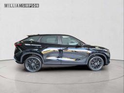 
										OMODA C5 1.5T Style full									
