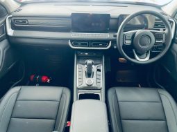 
										Gwm P300 2.4T Ltd D Cab 4wd full									